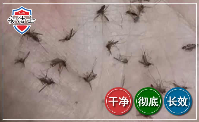 临安区蚊子防治-灭蚊