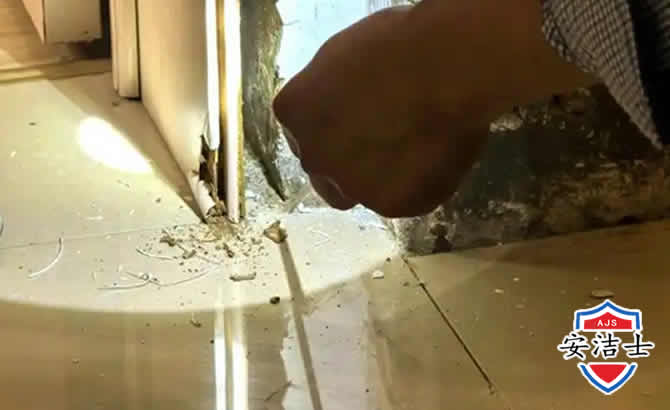 临安区房屋建筑防治白蚁