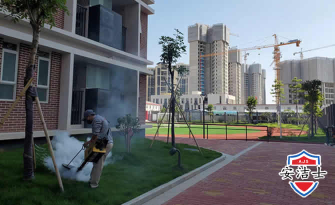 临安区工厂工地除白蚁