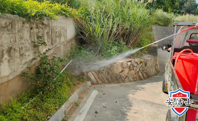 临安区道路堤坝白蚁防治