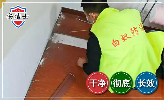 临安区除四害现场