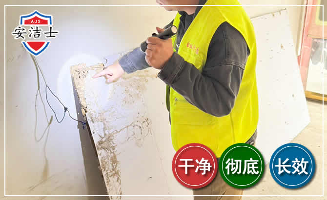 临安区除白蚁现场