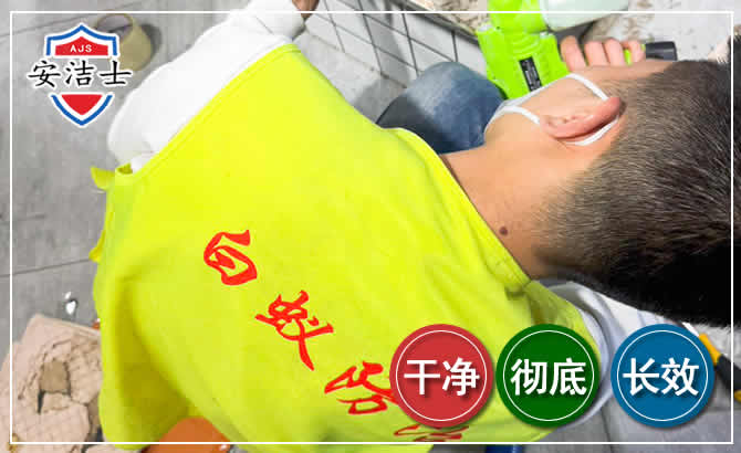 临安区白蚁根治现场